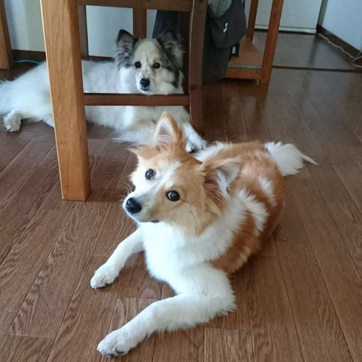 D1464eb3 9f7d 46ef 83e5 2f8aad3aeee9