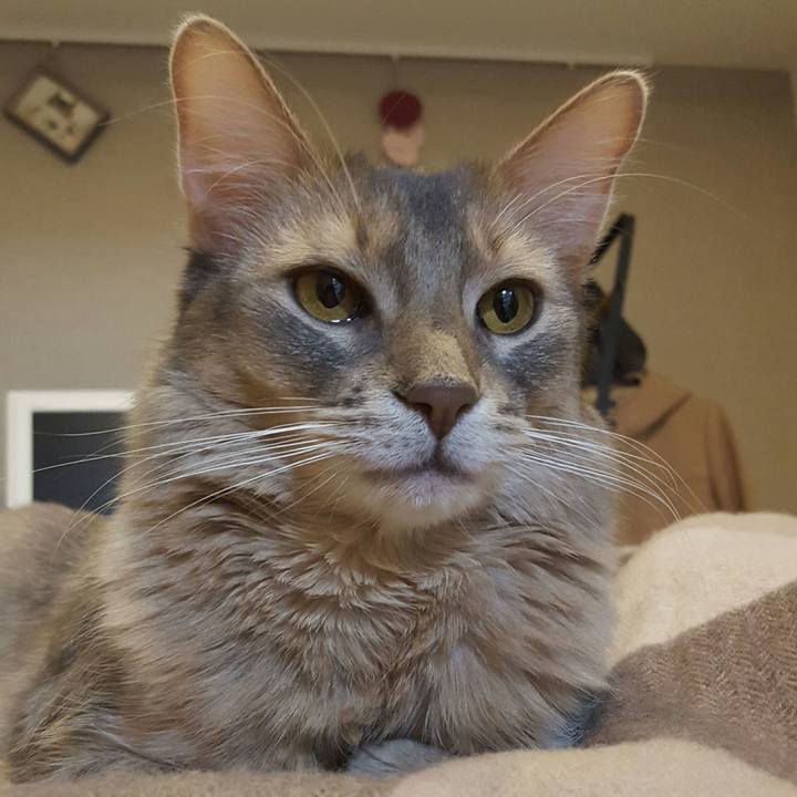 D146a587 6142 46f2 987d dec5bc548a6a