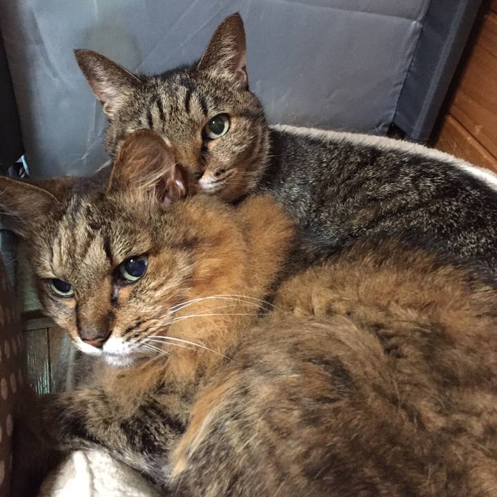 D146dd8a 05e2 4a56 9b94 14fd652acb76