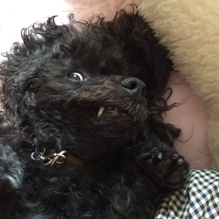 D146faf3 772b 41f1 a18f 68e3ca8afc13