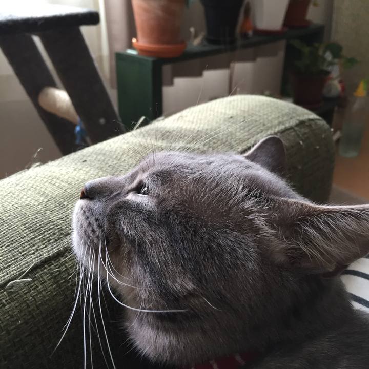 D148865d e75a 4987 865d 41c31c91836f