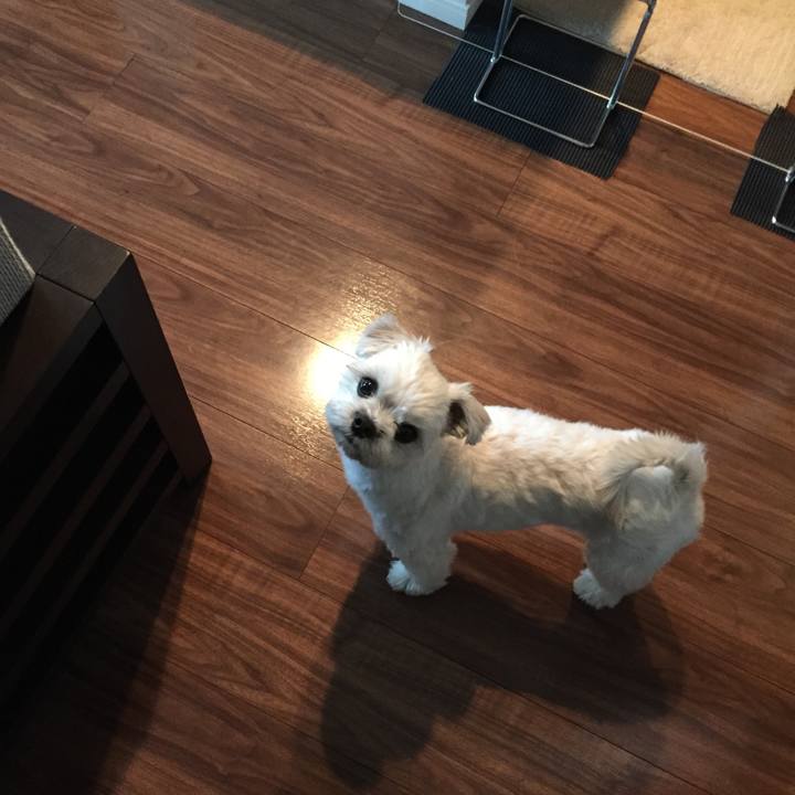 D1488d15 509b 4745 8acf b6ff28a9540e