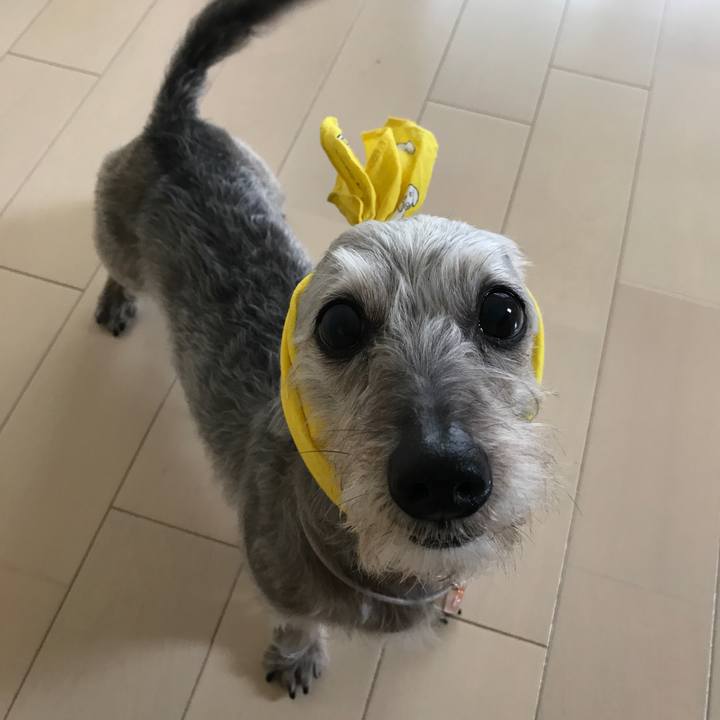 D148c7b5 fcc7 41f7 89fc 3a0932866977