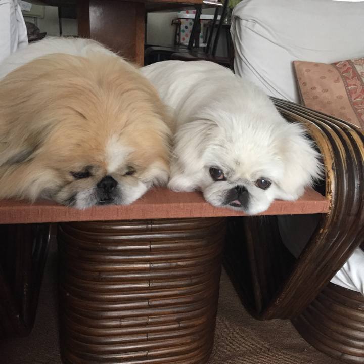 D148ce9d 5b63 4626 b1b7 3a6638df2c44