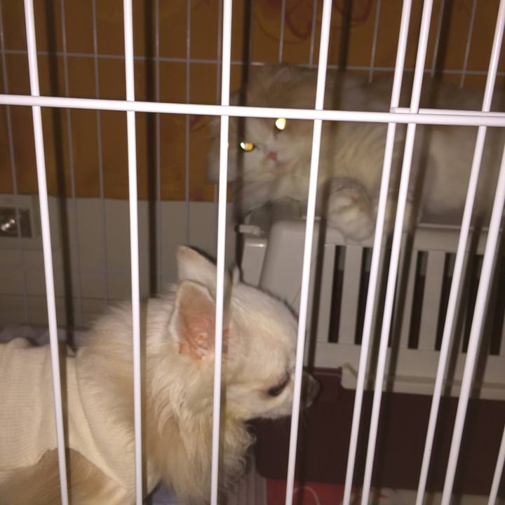 D148d1e7 379d 425b a0a4 c2f190eec862