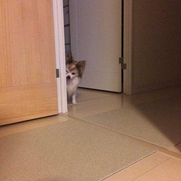 D148d365 6f92 4395 920d cf9f4ee4ecf7