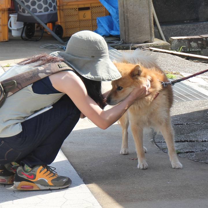 D148e2d7 0523 46a5 9adf 02c5fecd3d27