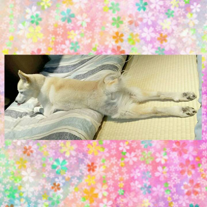 D148fc83 f4f0 426f 843d 7e4bfc948918