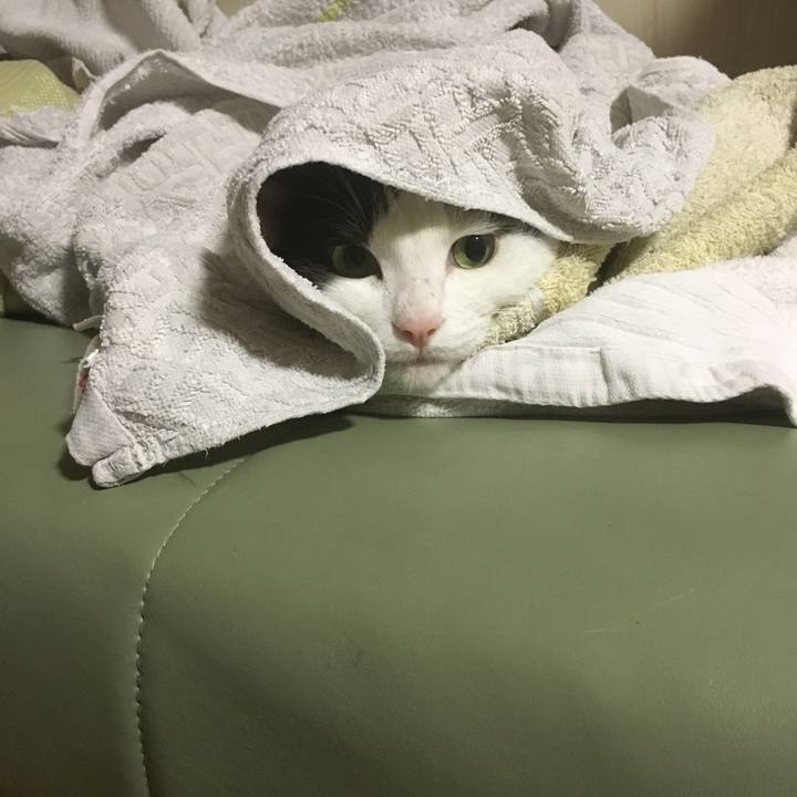 D1495c4c 4fd0 4bab 917f d09f6cc6a753