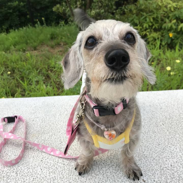 D14b4351 6bd8 41e7 b0cb 1d55e0db174c