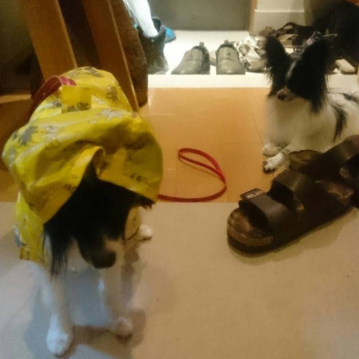 D14c14d1 5b7f 4d0d a820 c21fe00ead77