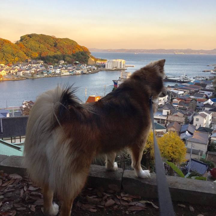 D14cb017 0829 41ef b1f9 a3c485262f1d