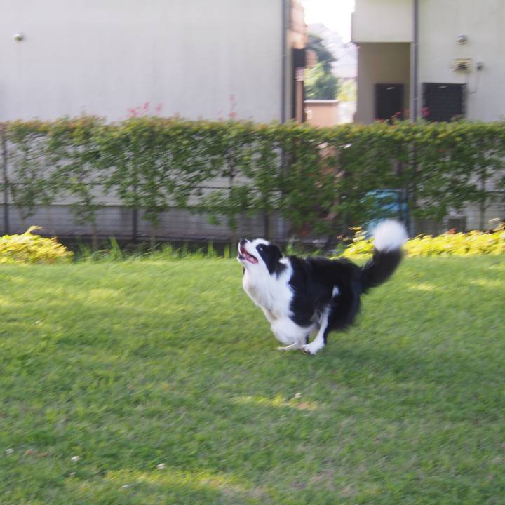 D14d04c5 b040 4c01 899d f21d711dc716