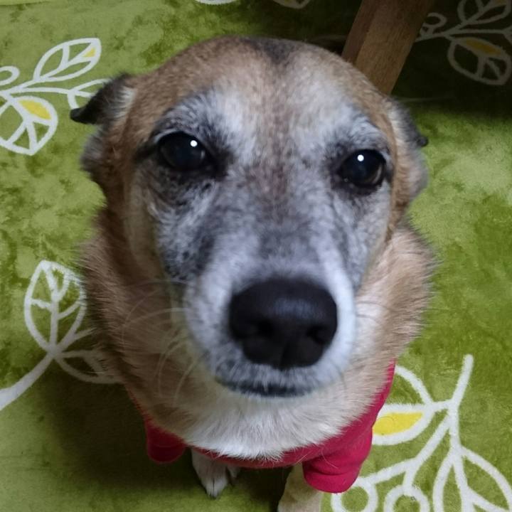 D14d36e3 1a75 44db ae08 22b31c1cff21