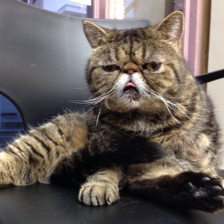 D14e00a0 96b6 4007 9c7f a28cbe1e3d64