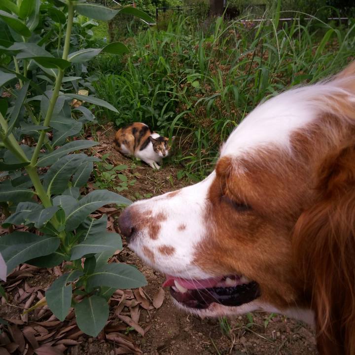 D14e75a9 43cf 4454 94a3 cc35ccfa661d