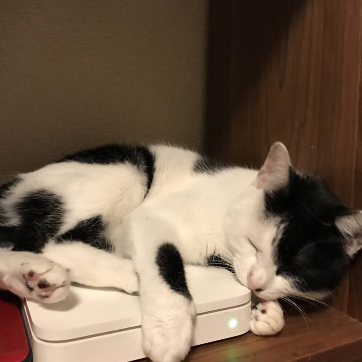 D14f1214 5106 40b8 86c1 2a1028e0766b