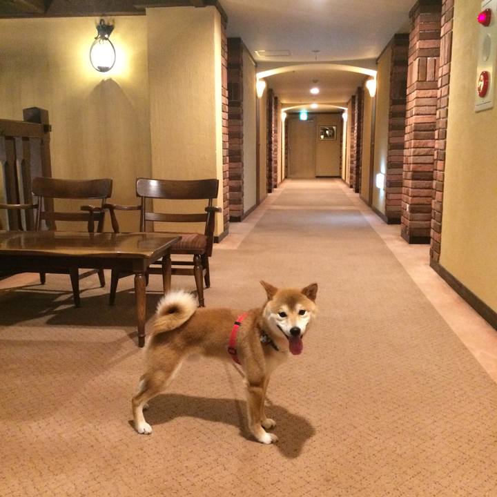 D14f1d8d 916e 460c 9d0d 045dc41be880