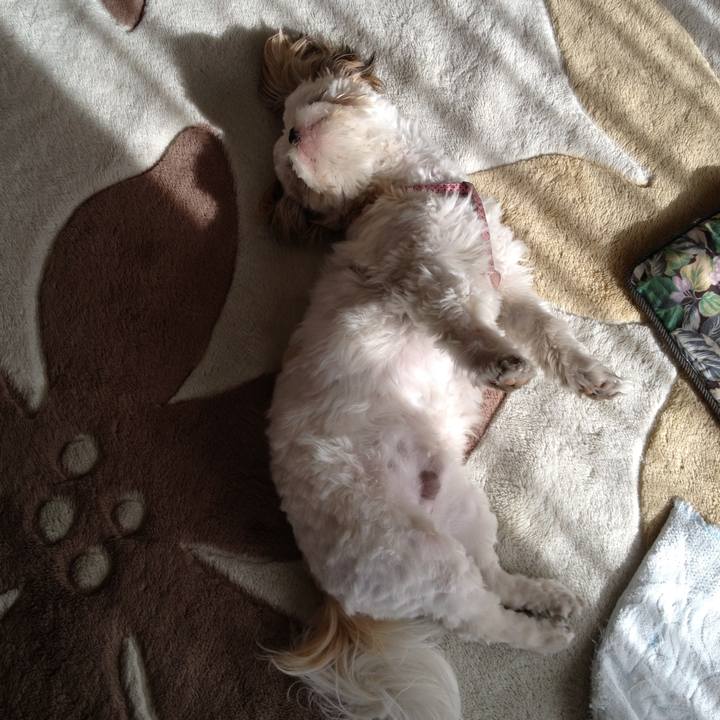 D14f4d2e fd76 4390 b3ea ce34b561a340