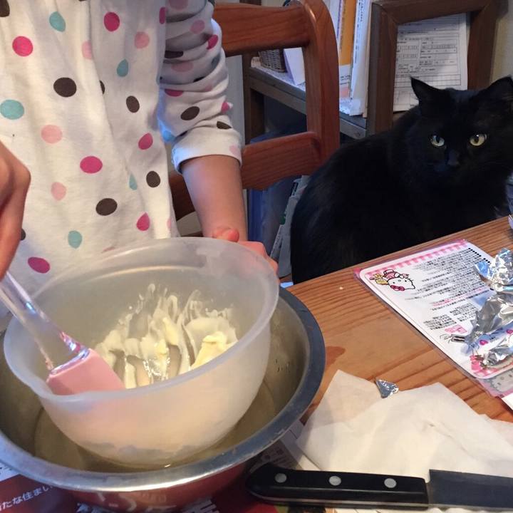 D14fc1d6 2284 43f7 9ecb 1035bbe5a337