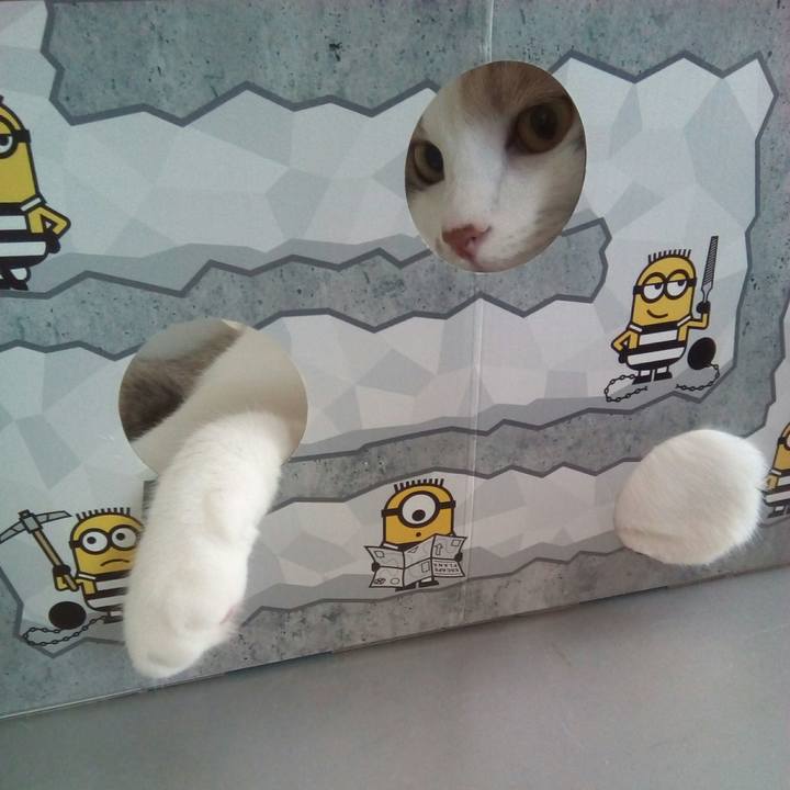 D1507c51 93b1 440b a29e 0f6a497f5b84