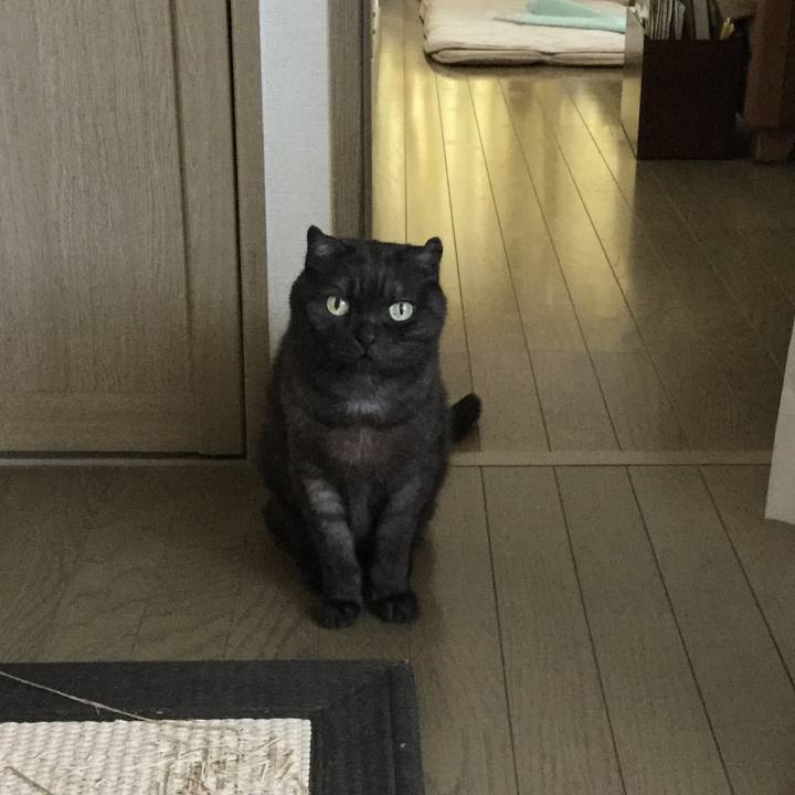 D1510dd9 08d7 4088 9344 31f52d9cf33f