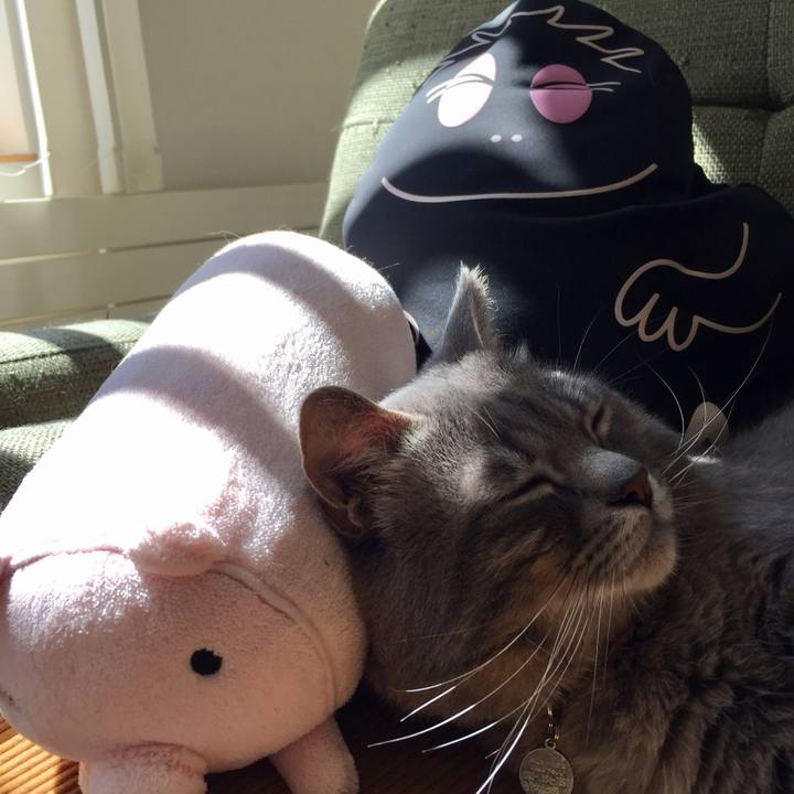 D15137e1 334b 4dae 9831 34dd64314624