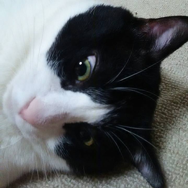 D15161c8 4740 4d92 aa50 e9784490f484