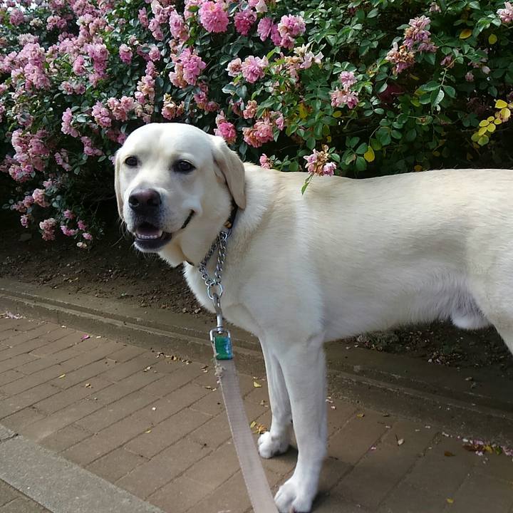 D151b3e5 0819 40cf acfd 3c9e74734ef6