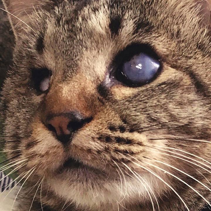 D151f5ba e38c 4e82 bd9e aa0532f40dee