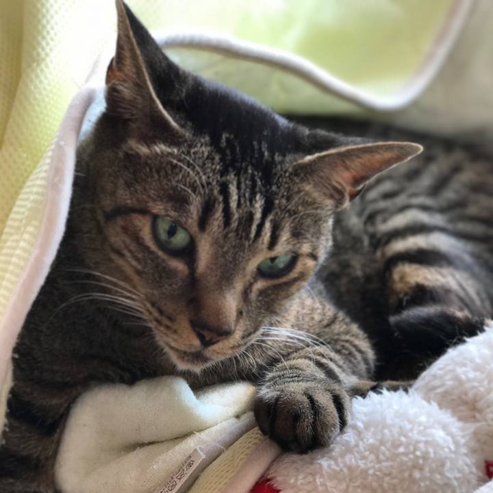 D15289fd edda 488a ad1b 7a7acc205594