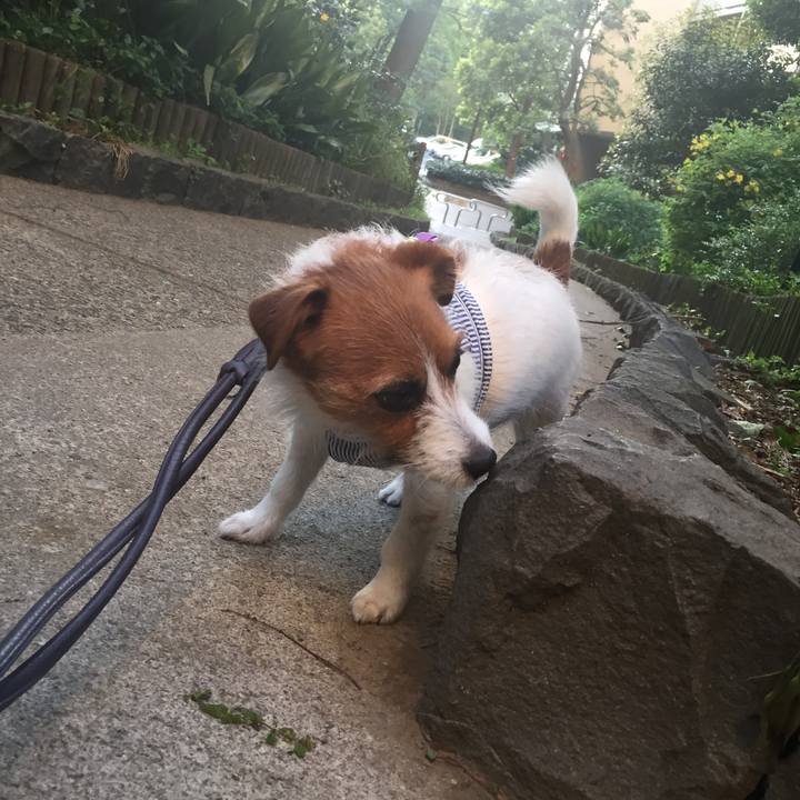 D1529b1d dd20 4601 aed4 82d16d9d0f5e