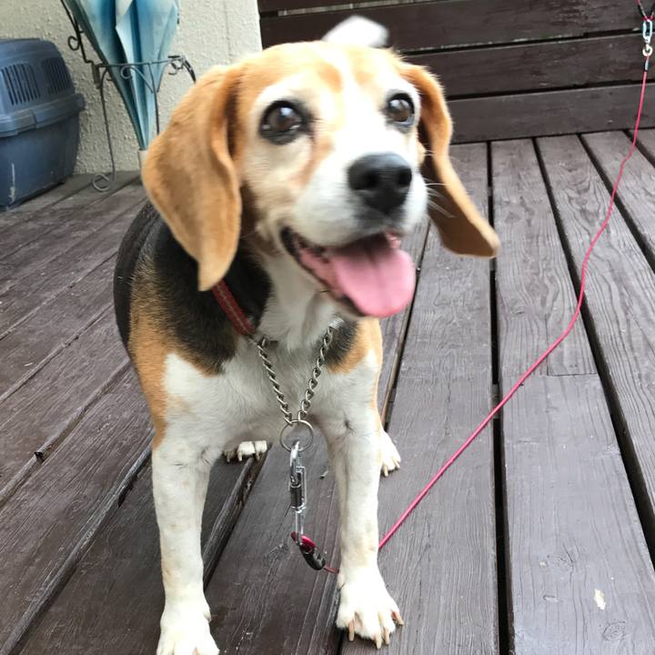 D1537791 4a60 404d 954f 4980fa46e423