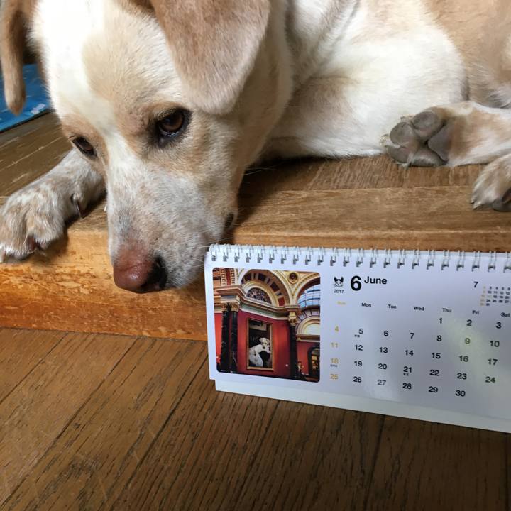 D1538e0e 4886 4162 800d 3bee1cfbb9e1