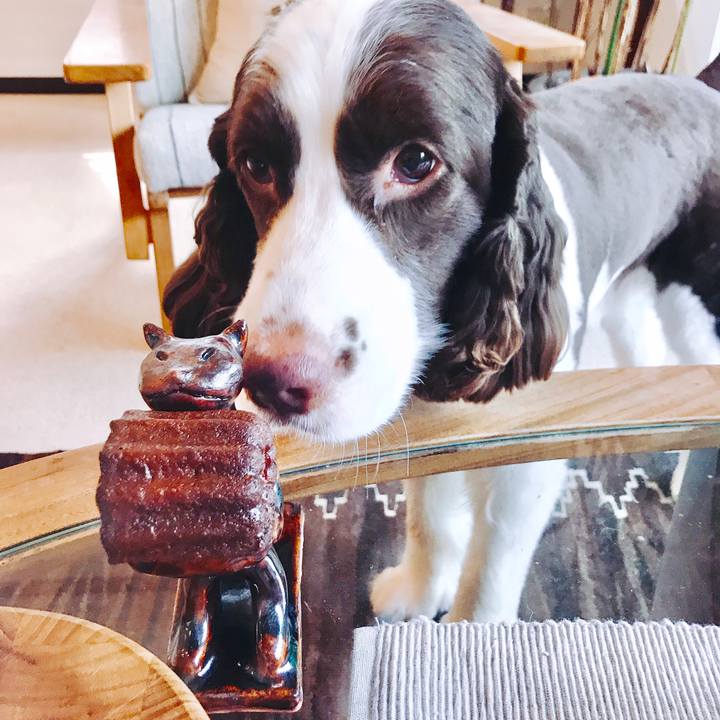 D15426c7 8eca 40ea b013 081da022b620