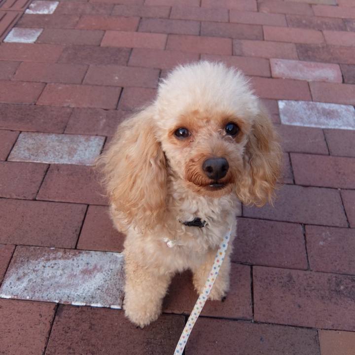 D1549501 8cad 4026 a512 c2f744e08b82