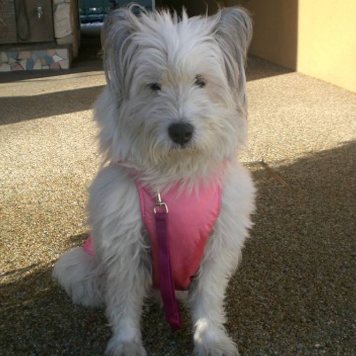 D154f75a 2bbd 4f10 a7f6 e21a4c57f2cd