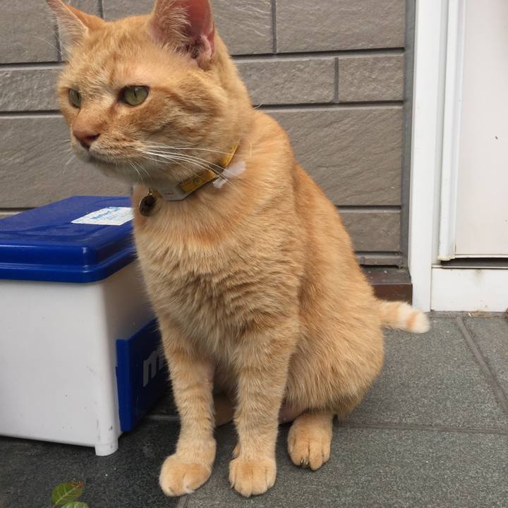 D155da6b da34 4427 92e2 e8bdef1b228e