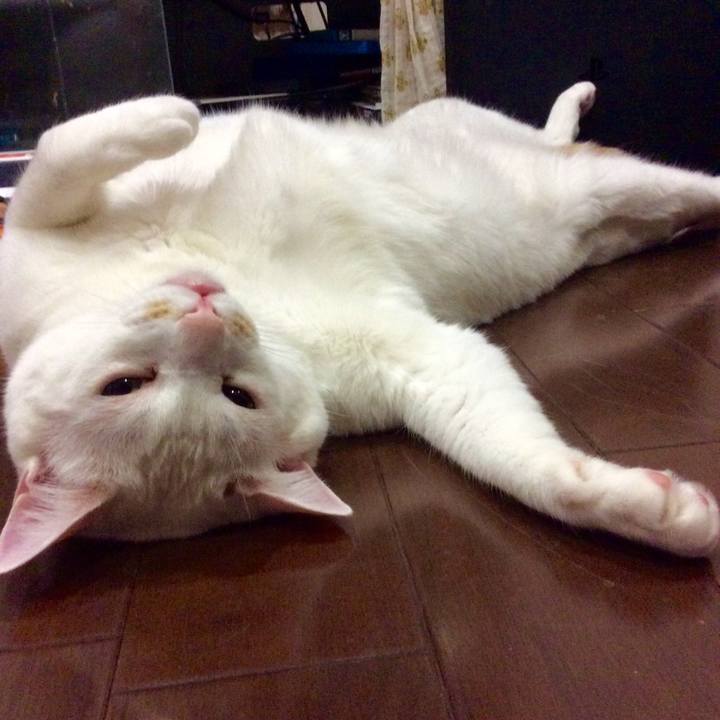 D156186a 5a98 41ee b8f8 f4874d989f95