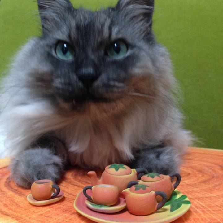 D156dacc c713 41bc a1c3 1b59f963fb59