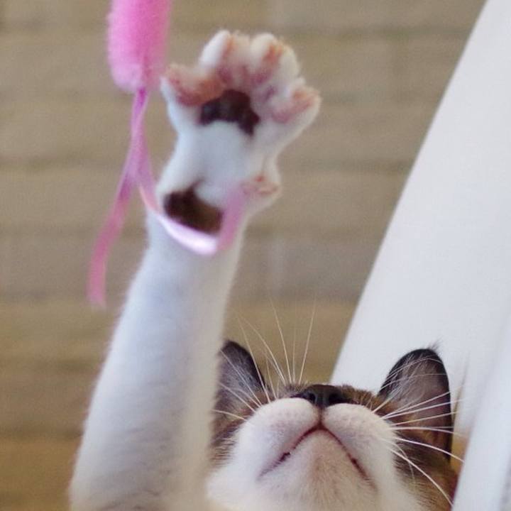 D1576b7e d0a9 42ef 99c8 acf475c53eb3