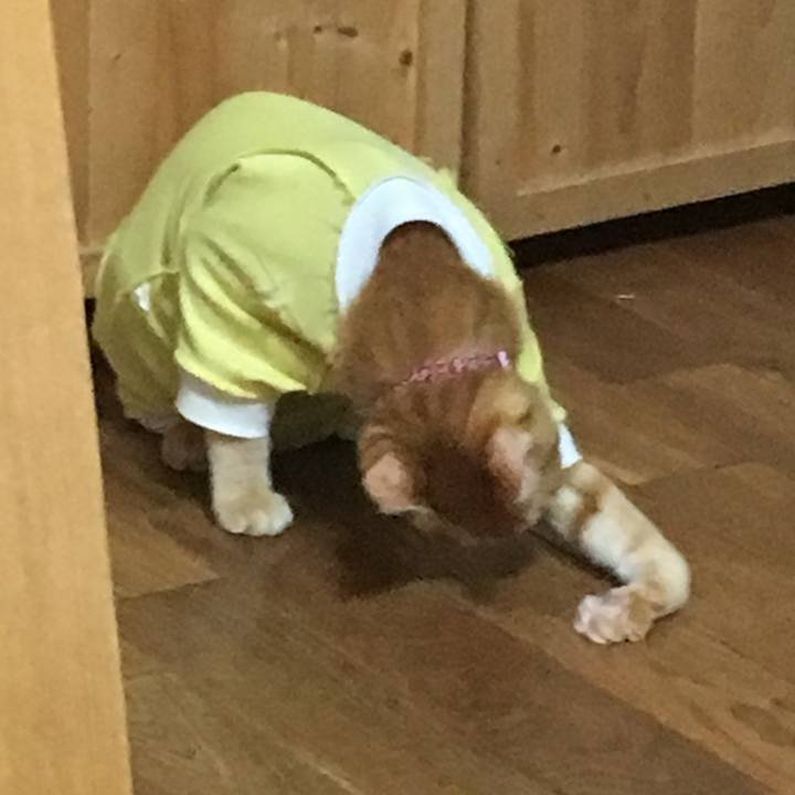 D1579073 2afe 48b0 b82f 9c634a1daa02