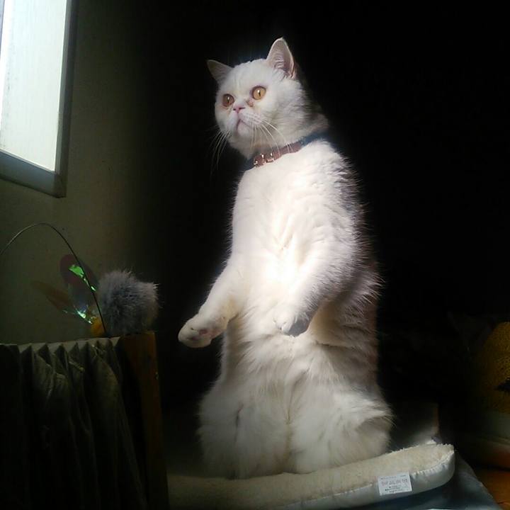 D1582887 0d1a 4f3b a0da 676c83f5ad47