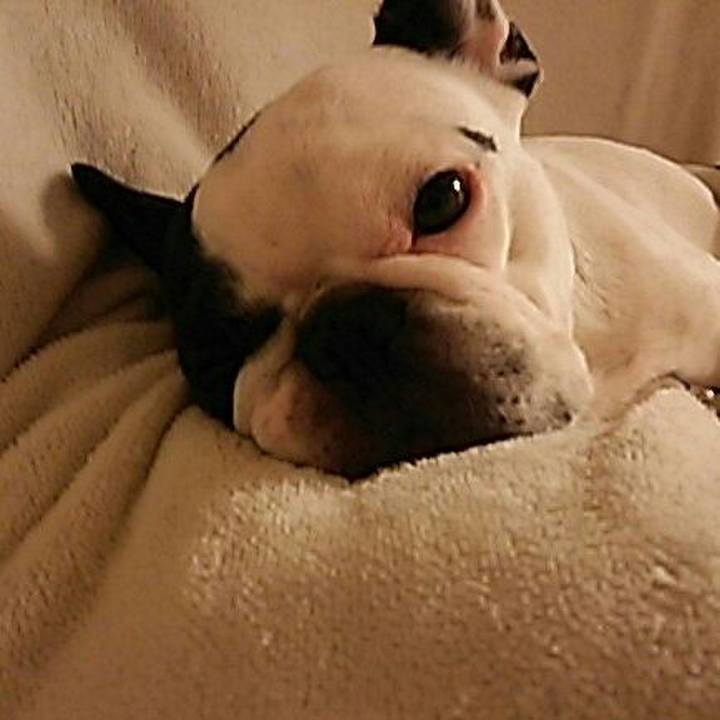 D158706c e35c 4d83 ab90 5a4c62a6e09f