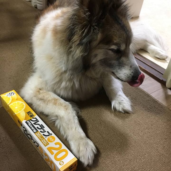 D158e067 6cb2 4695 9d8d 9af8f779fcc9