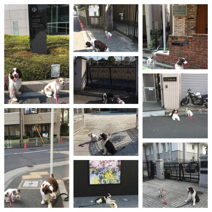 D1593e49 add1 48b9 a005 1f9add123cc0