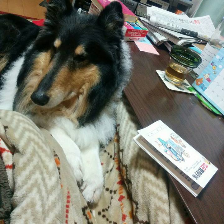 D159fc1c 5c2b 4580 877e 36874f2a1bcc