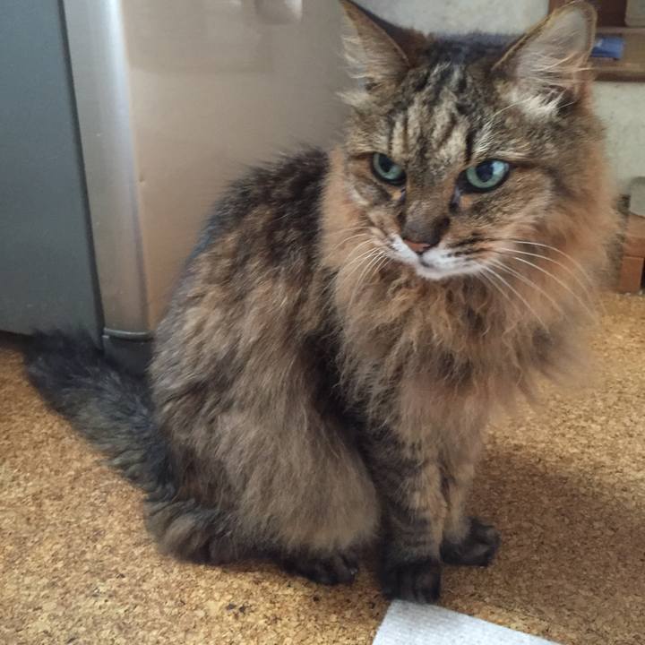 D15a710e 15e0 48bc aa1f a0ae681eccb0