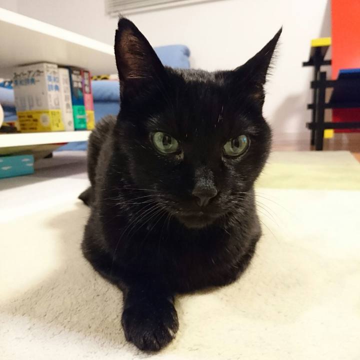 D15a88dd 5540 4d2c b66b 89b040469610