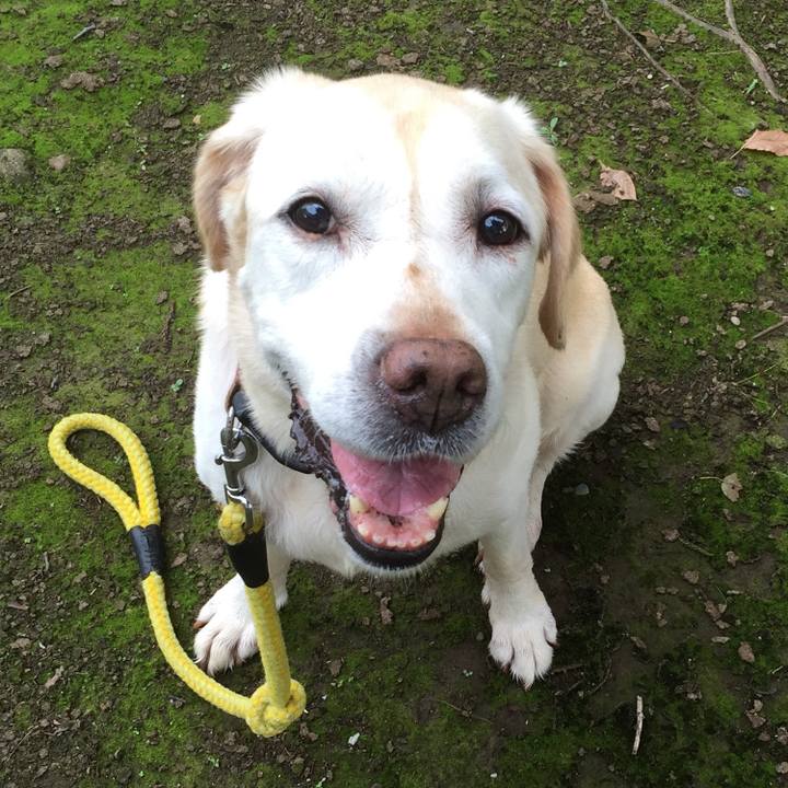 D15af0fc 54c2 43f1 998c 6ba642e037a8